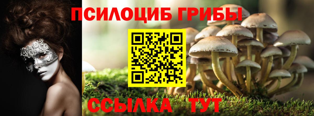 купить наркотик  Галлюциногенные грибы Psilocybe  Вход с VPN  Галлюциногенные грибы Psilocybine cubensis  Ялта 